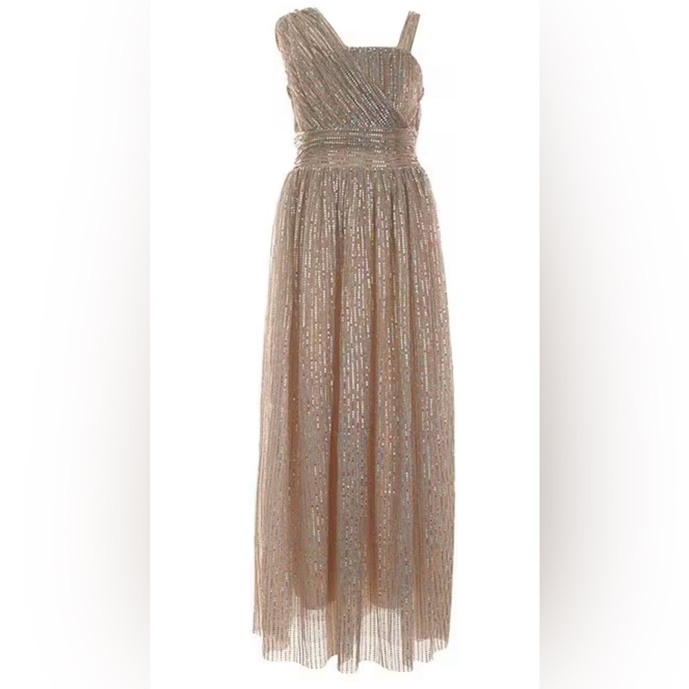 Nikie Lew Elegant big girl one shoulder sequin long dress size 16